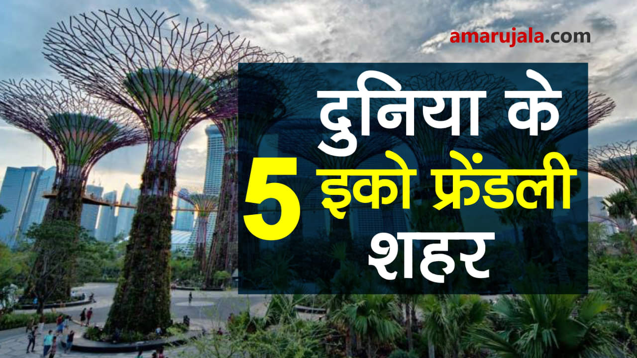 प्रतीकात्मक तस्वीर