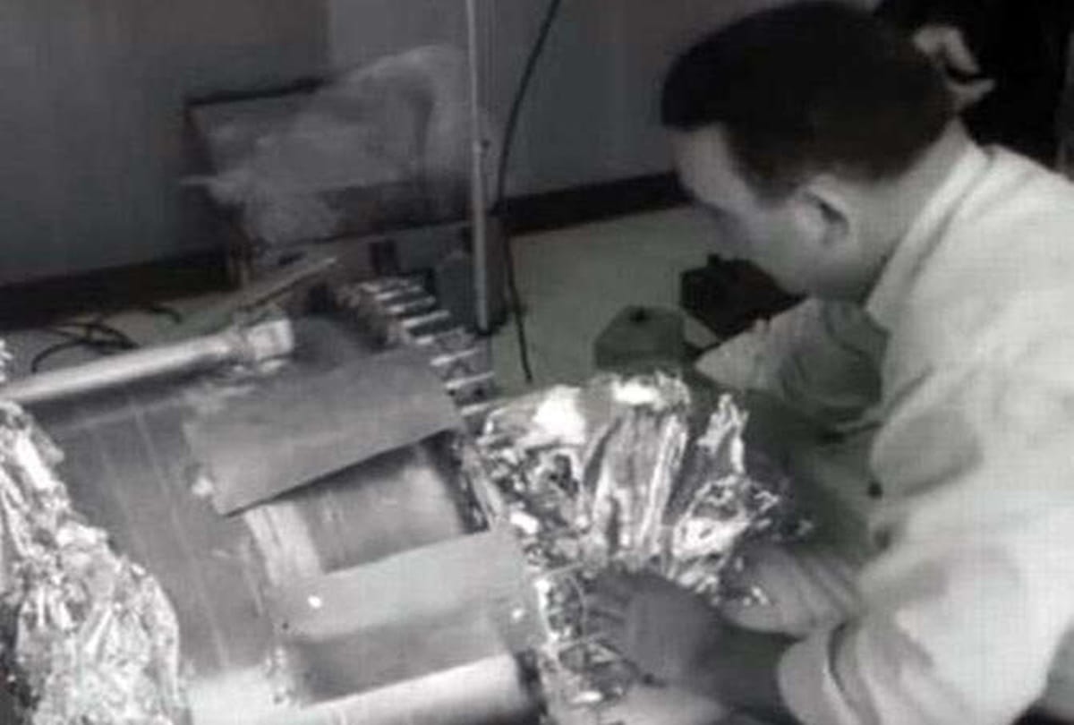 These two hundred and fifty dead bodies hopes to be alive again