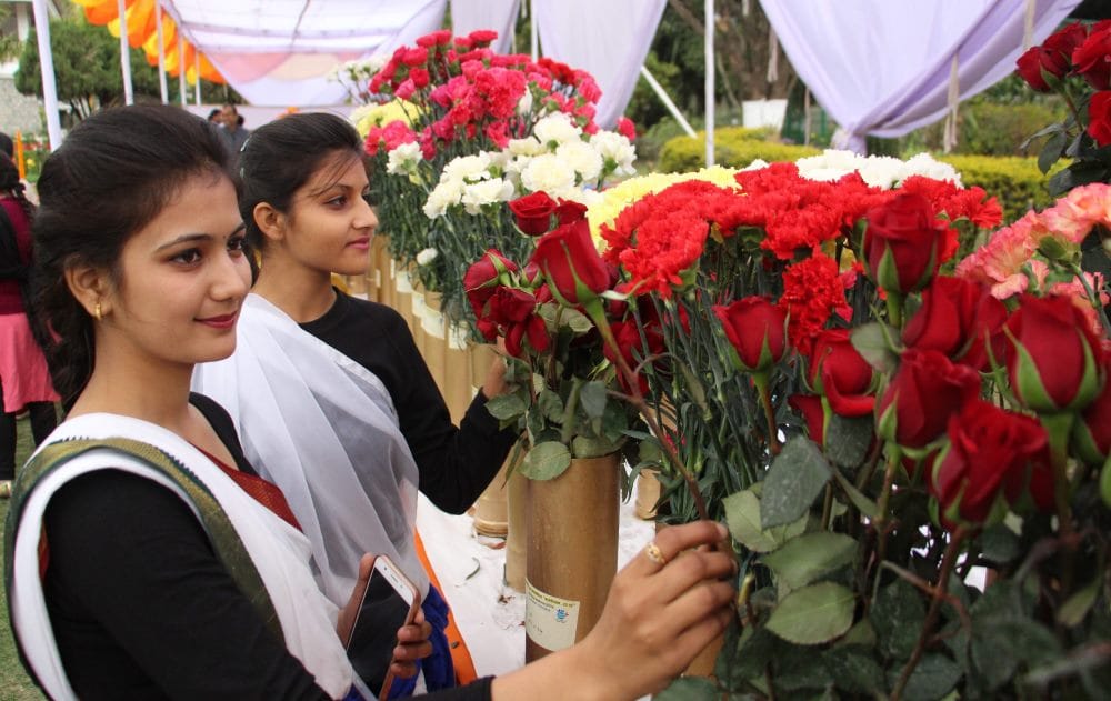 Vasantotsav-20118 flower exhibition in dehradun