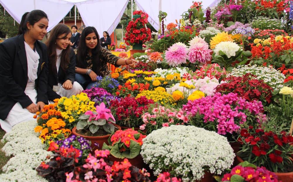 Vasantotsav-20118 flower exhibition in dehradun