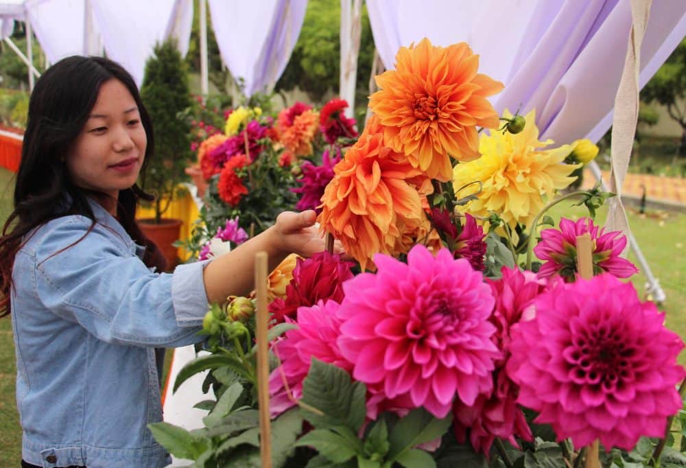 Vasantotsav-20118 flower exhibition in dehradun