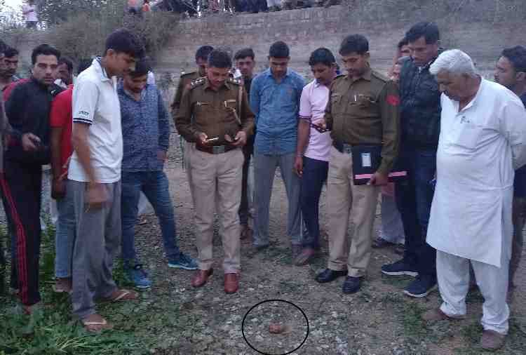 alive hand grenade found near pond in rohtak