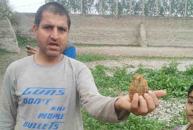 alive hand grenade found near pond in rohtak