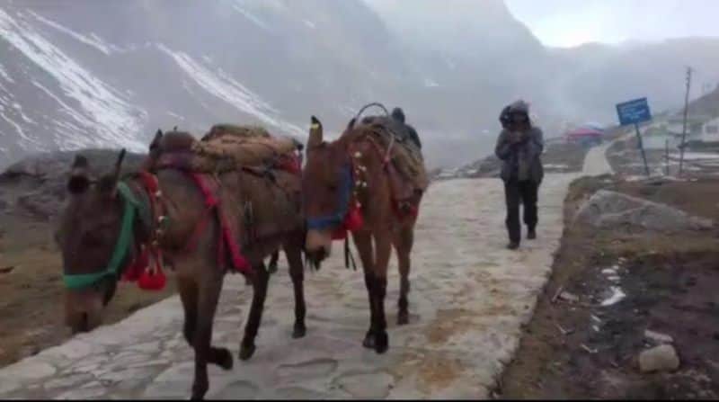 beautiful snowfall in uttarakhand