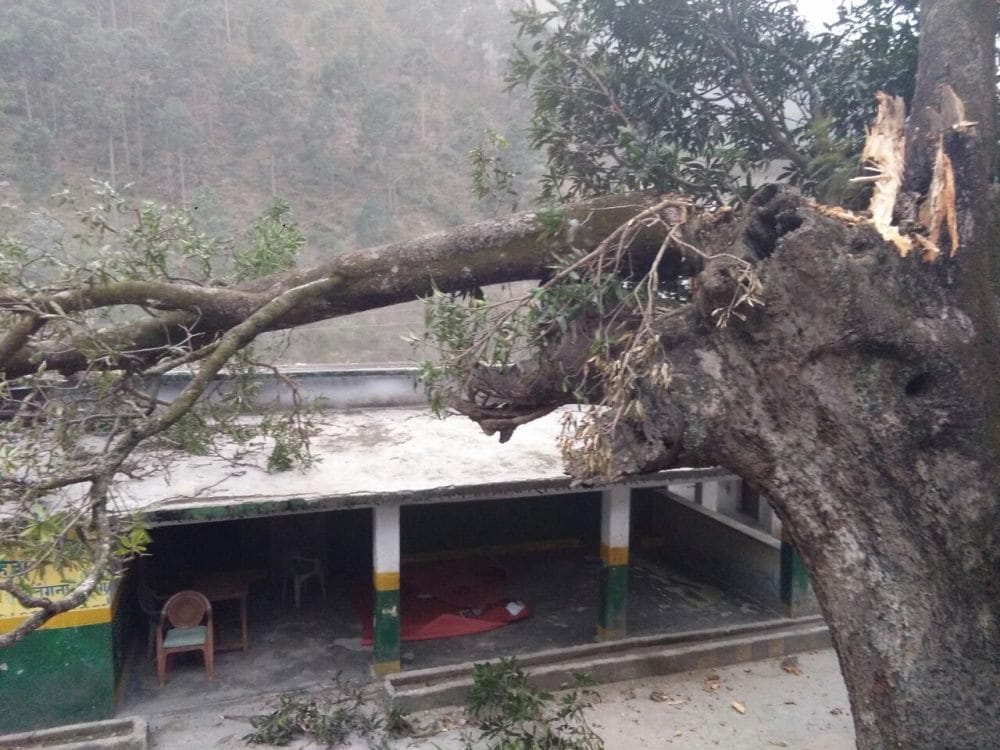 tree fell on school at ghansali