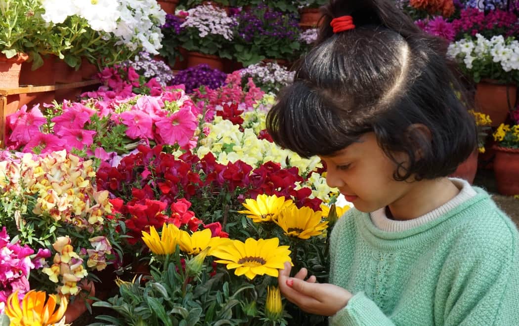 Flower exhibition in dehradun vasantotsav 2018