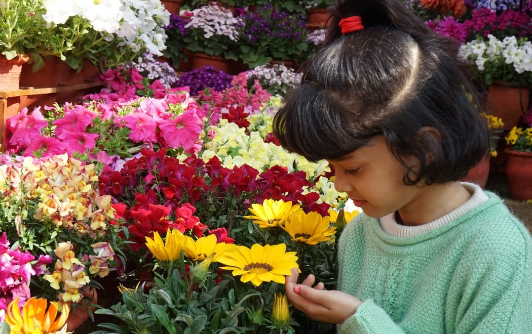 basantotsav flower exhibition 2020 in uttarakhand raj bhavan preparation start