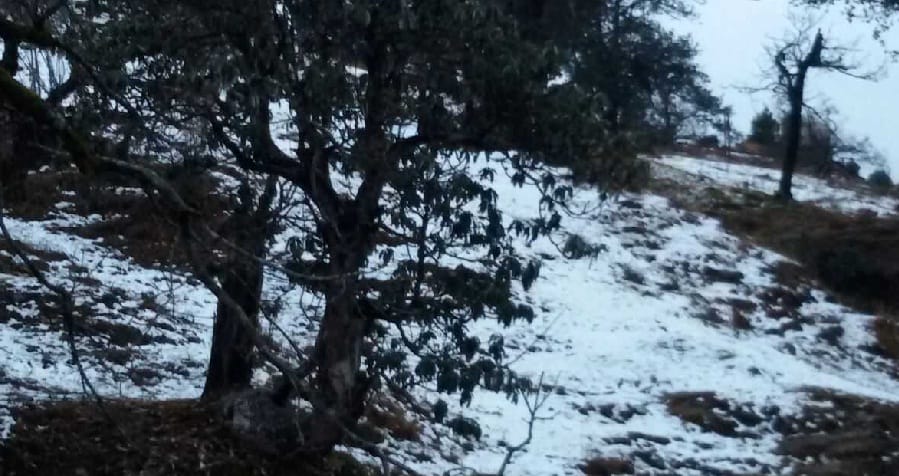 Rain and snow fall from the temperature