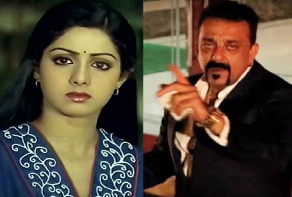 know about these are four big goals of sridevi life 