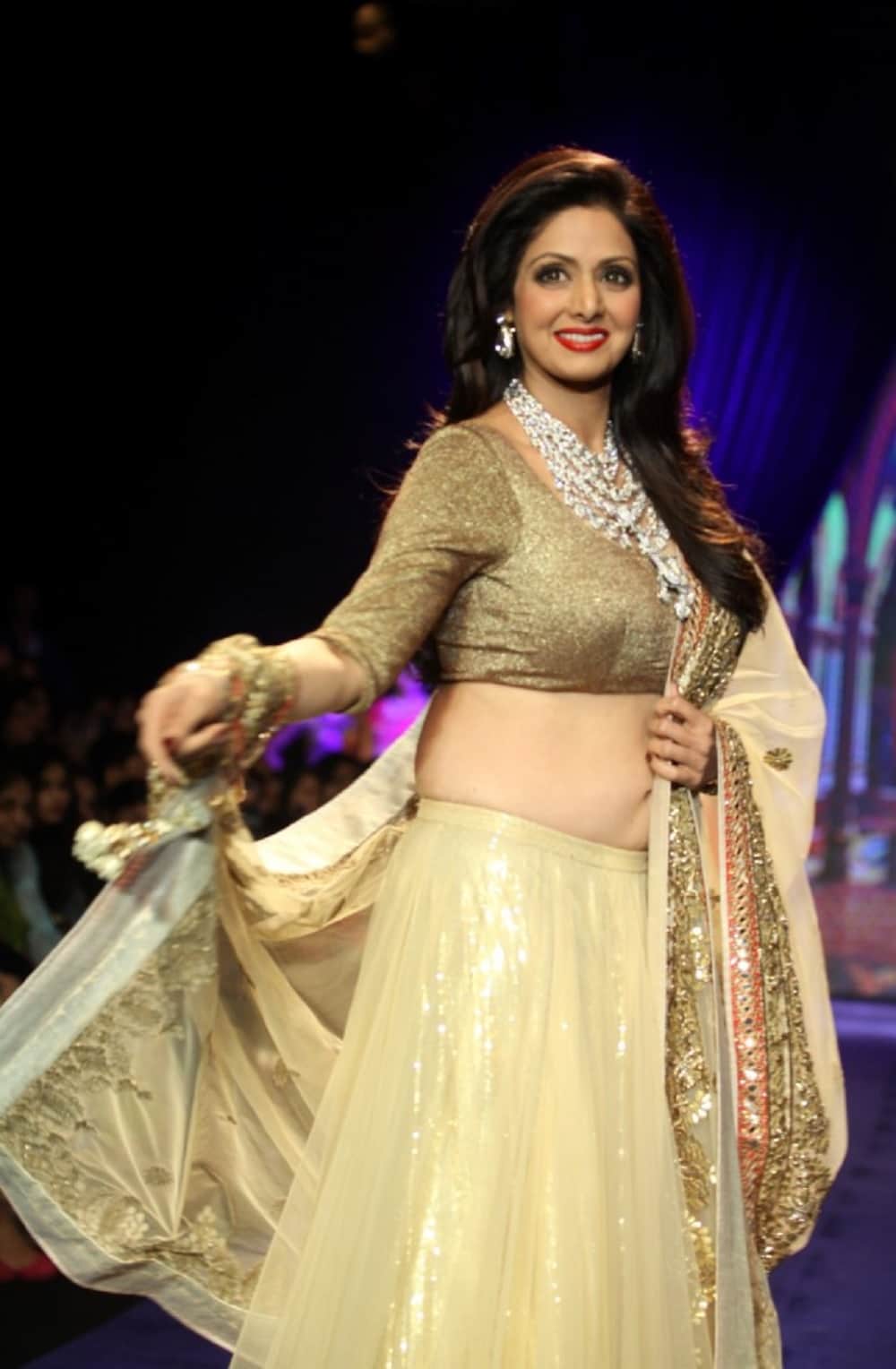 Sridevi last picture with sister in law Sunita kapoor