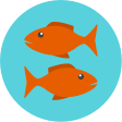 मीन राशिः आज का राशिफल pisces daily horoscope