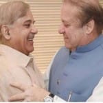 Nawaz Sharif's younger brother Shahbaz will be PML-N interim president: Source