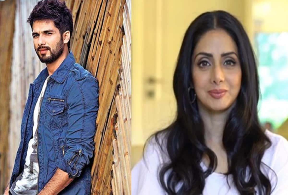 shahid kapoor birthday his special message for sridevi