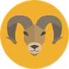 aries daily horoscope