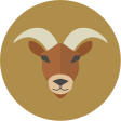 capricorn daily horoscope