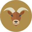 capricorn daily horoscope