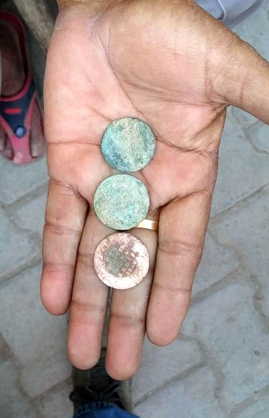 wonderful things found in digging