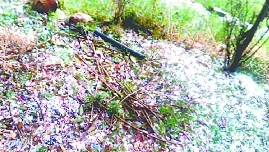 hailstorm wasted drought hit crops