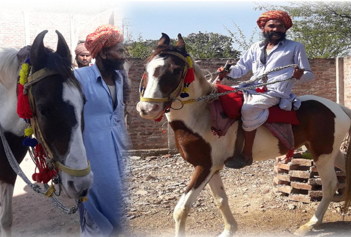 this horse rider is famous for his passion