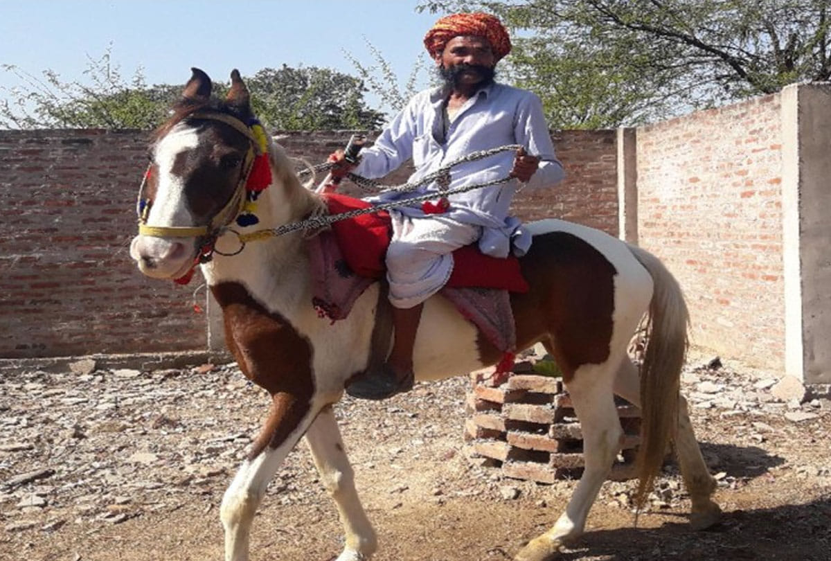 this horse rider is famous for his passion