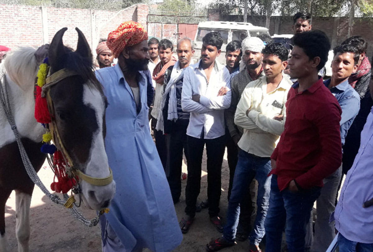 this horse rider is famous for his passion