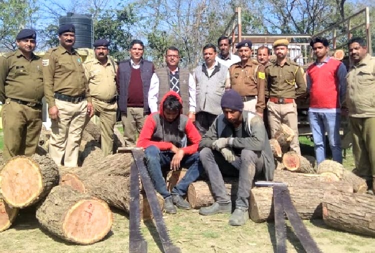 three injured in clash between forest mafia and employees