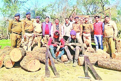 three injured in clash between forest mafia and employees