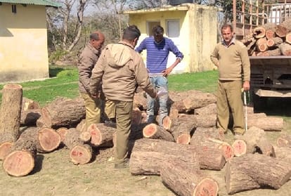 three injured in clash between forest mafia and employees