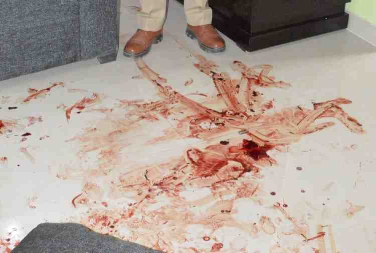 chandigarh woman suicide attempt, daughter commits hanging suicide