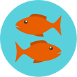 मीन राशिः आज का राशिफल pisces daily horoscope