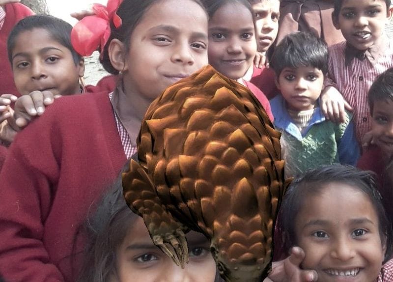 थ्रीडी तकनीक से मिल रहा डिजिटल ज्ञान