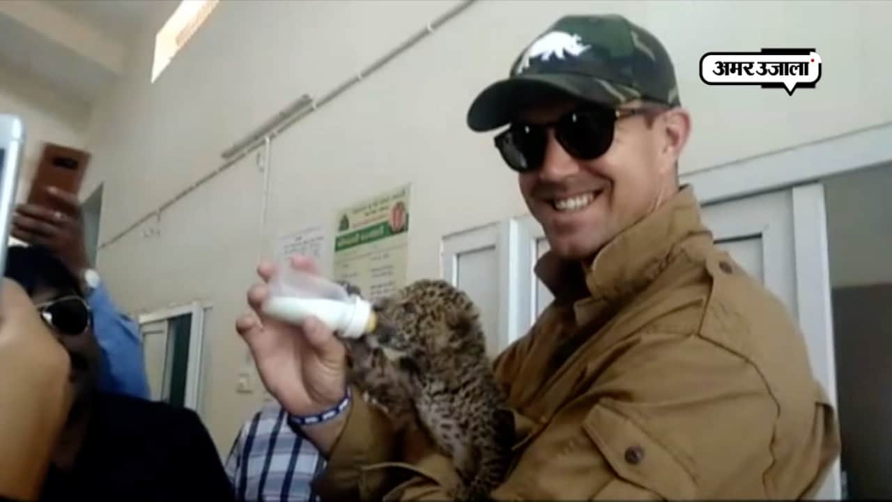 केविन पीटरसन