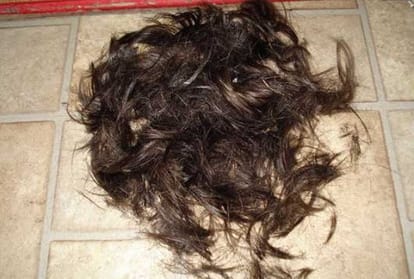 hair stealer Arrest in kanpur