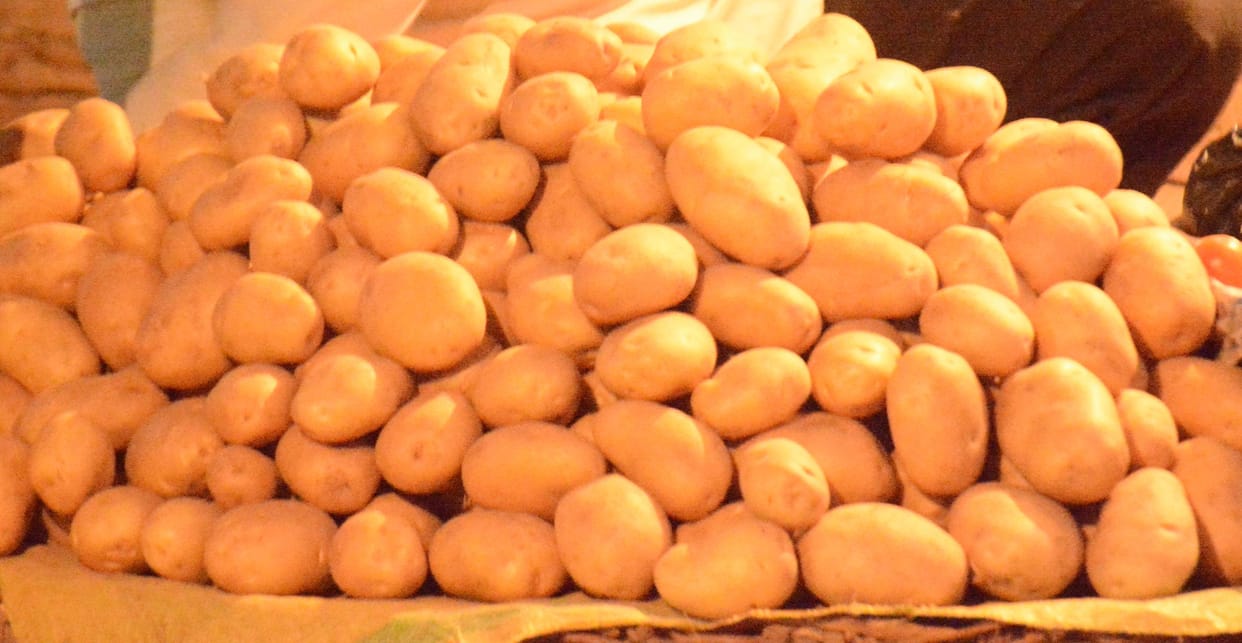farmer happy with potato prices