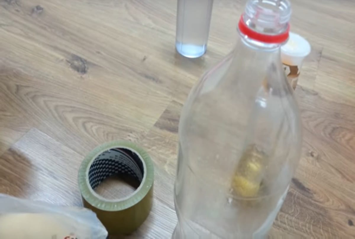 Know how to make mosquito trap at home 