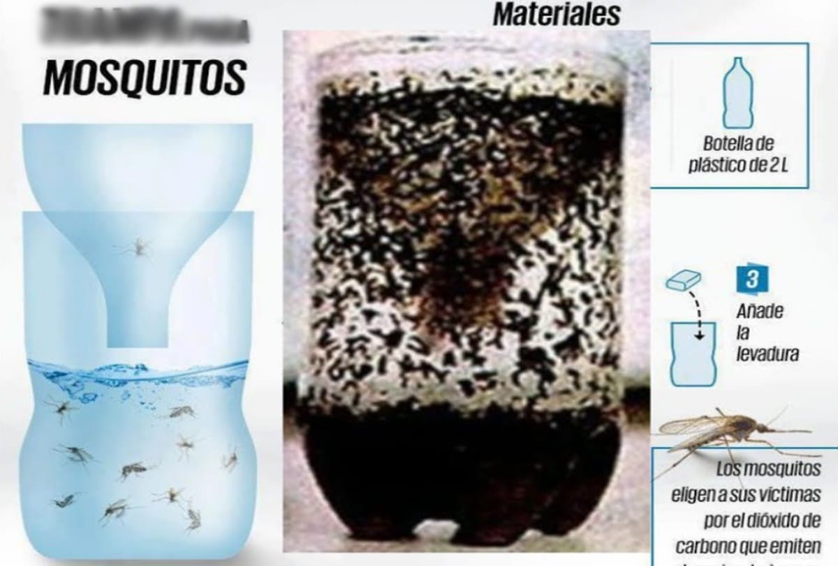 Know how to make mosquito trap at home 