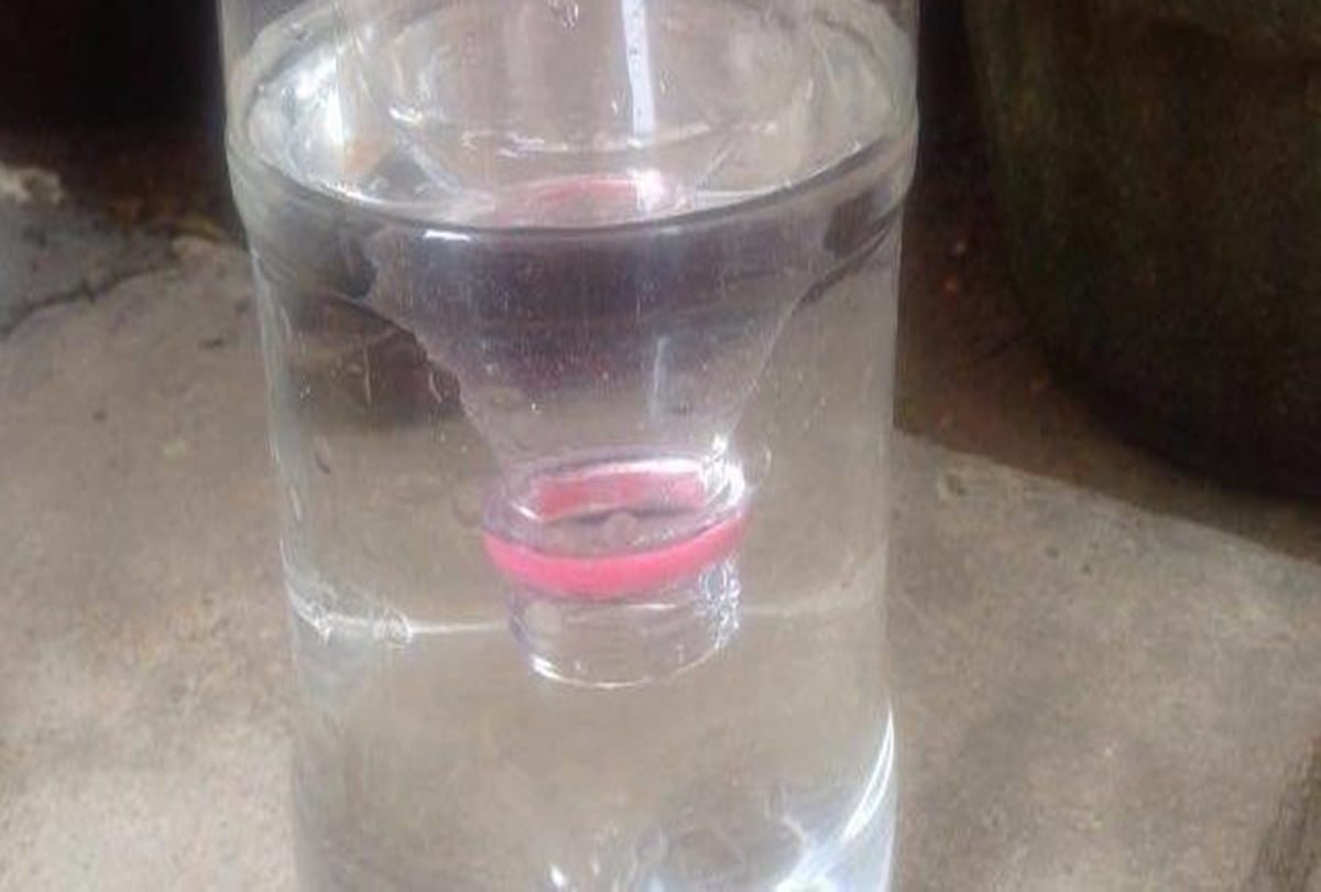 Know how to make mosquito trap at home 