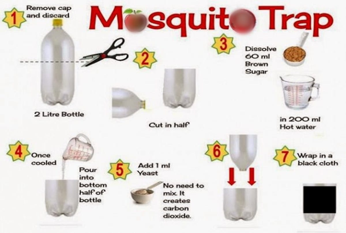 Know how to make mosquito trap at home 