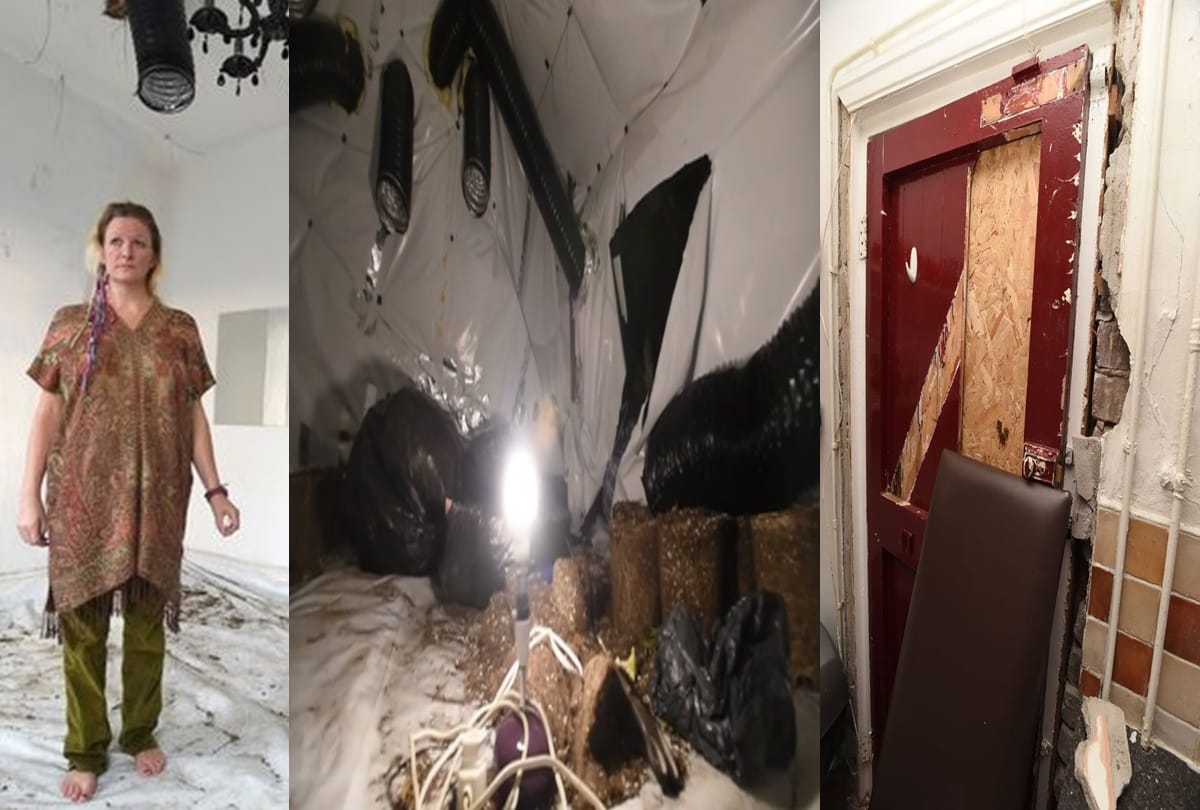 Woman shocked to find her home as huge cannabis farm 