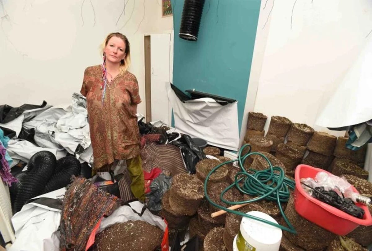 Woman shocked to find her home as huge cannabis farm 