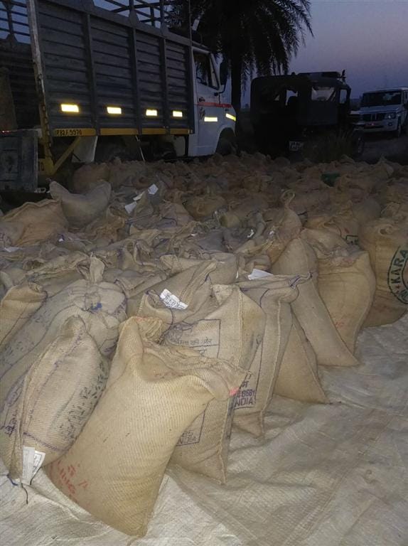 248 sacks of ration caught wheat and rice