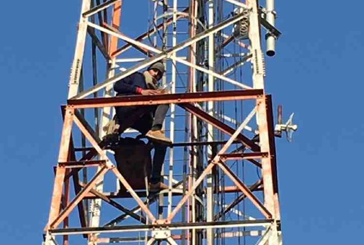 kapurthala teacher climbed on tower for wife 