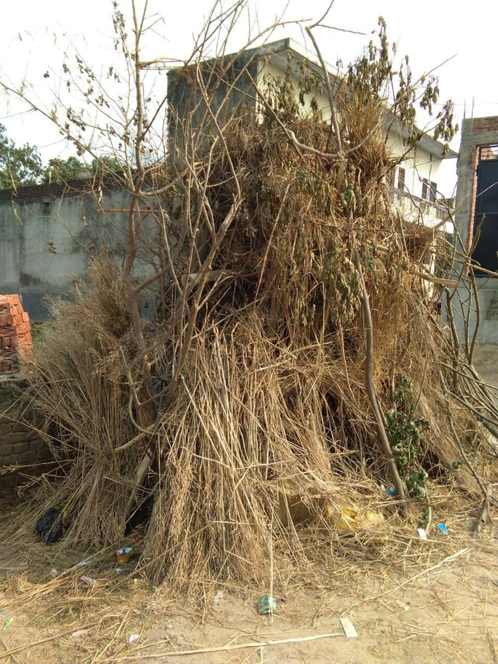 1162 place will be Holika Combustion, Administration Alert