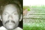 किसान की सदमे से माैत