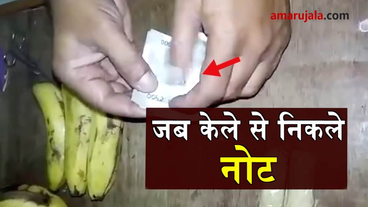 प्रतीकात्मक तस्वीर