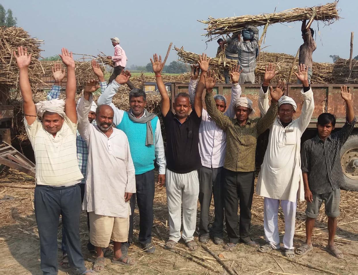 An increase in resentment among sugarcane farmers