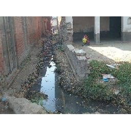 रेवसां गांव में सफाई व्यवस्था बदहाल, सफाई कर्मी नदारद