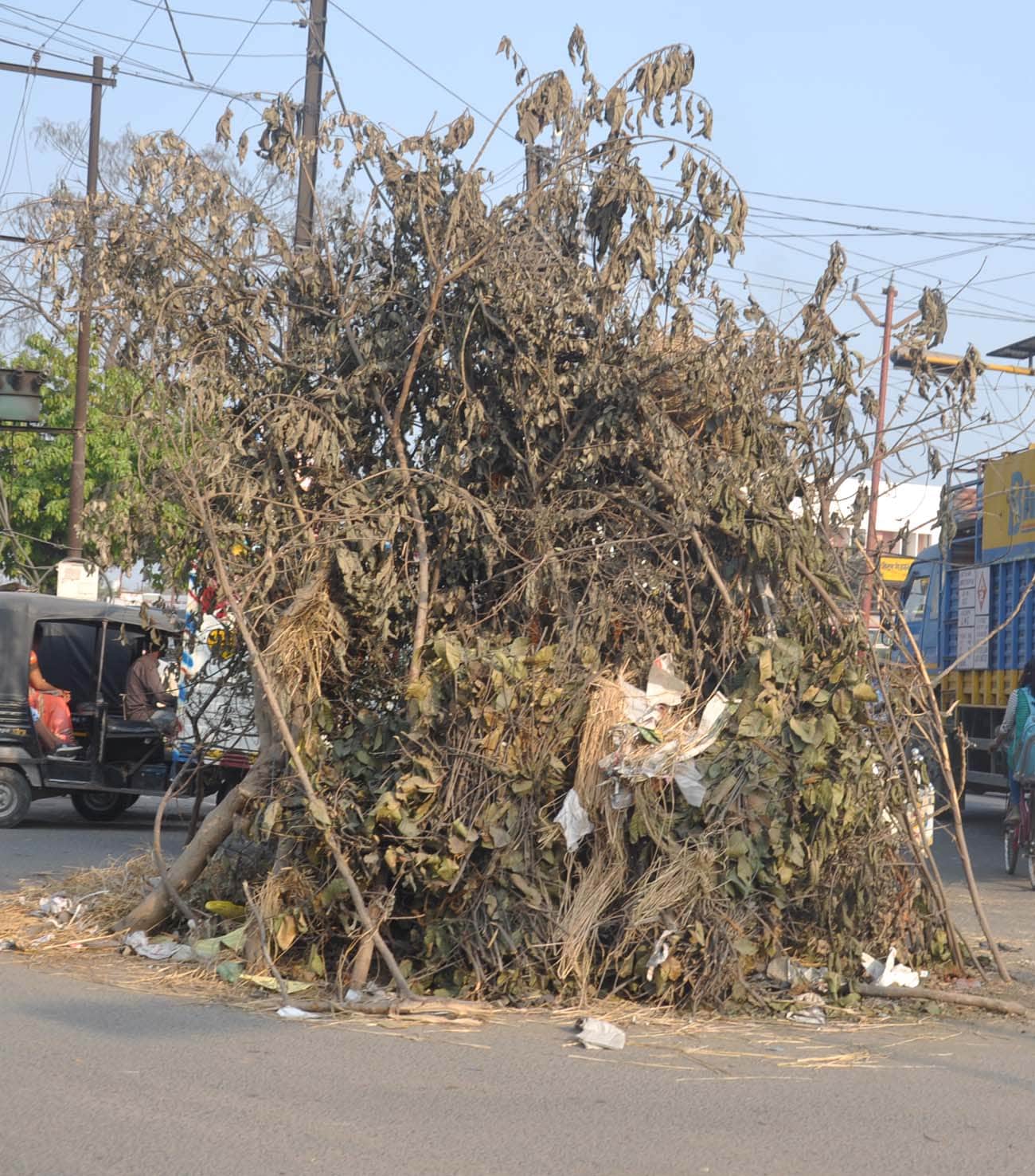 Holi 2019 these six thing Offer in fire of Holika Dahan