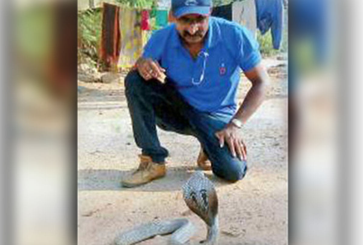 summer scare in bengaluru department receive sixty snake rescue calls a day 
