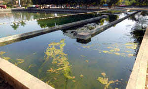 poluted water suply